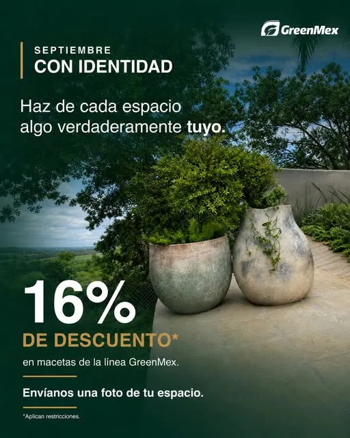 Pieza promocional de GreenMex en Instagram